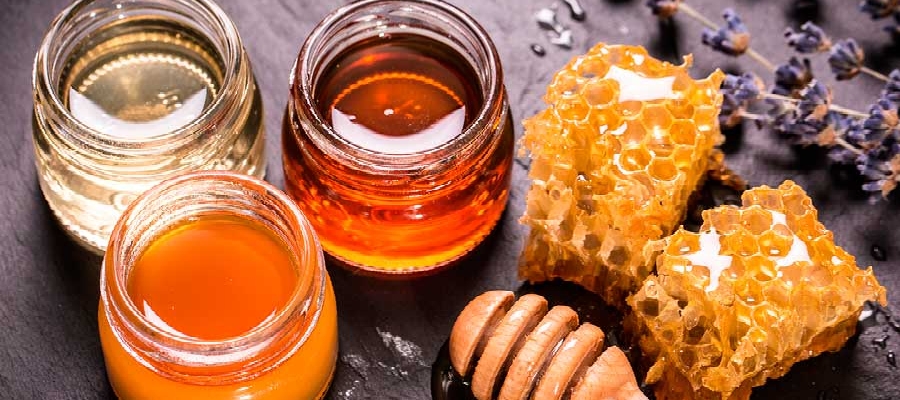 Guía para Comercializar y Exportar Miel
