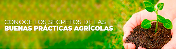 Buenas-Practicas-agricolas-Mayo-20231