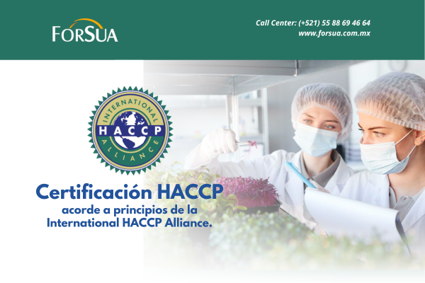 haccp certifica