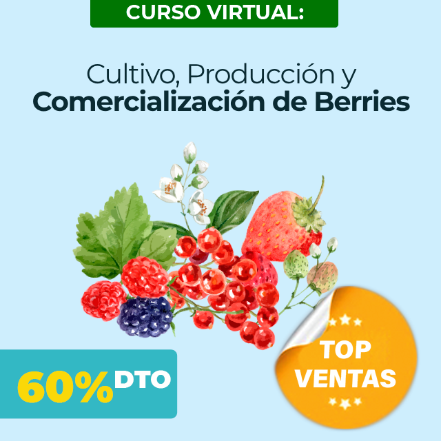 Portada_Cultivo_Produccion_y_Comercializacion_de_Berries_640x640_1