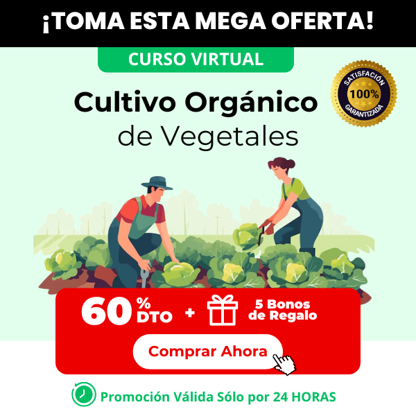 Curso Cultivo Organico de Vegetales