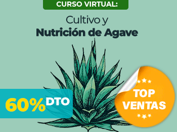 Curso Cultivo y Nutricion de Agave