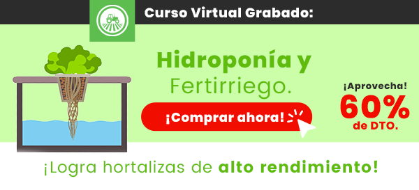 Hidroponia