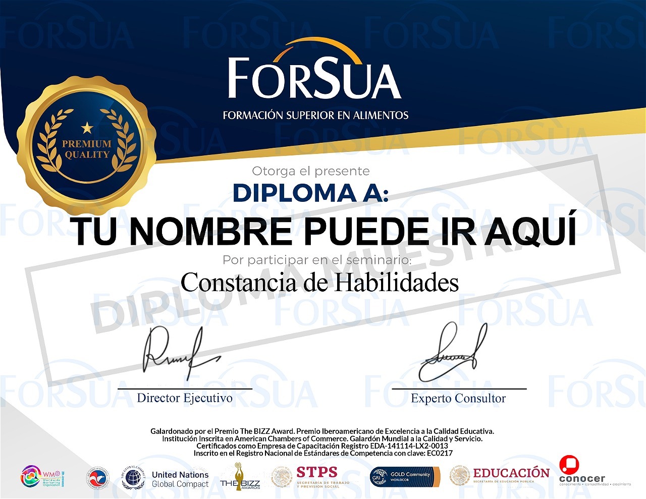 Diploma-Seminarios