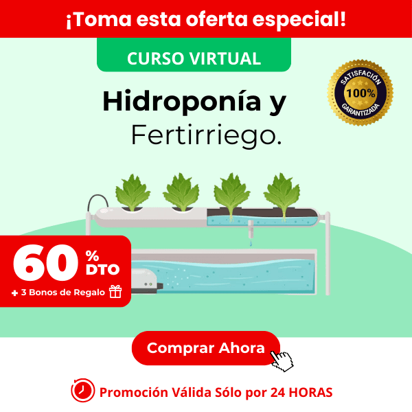 Curso de Hidroponia