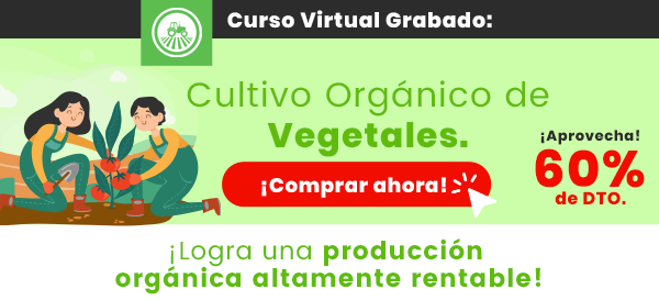 Curso Cultivo Organico de Vegetales