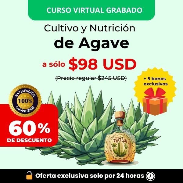 Curso Cultivo y Nutricion de Agave