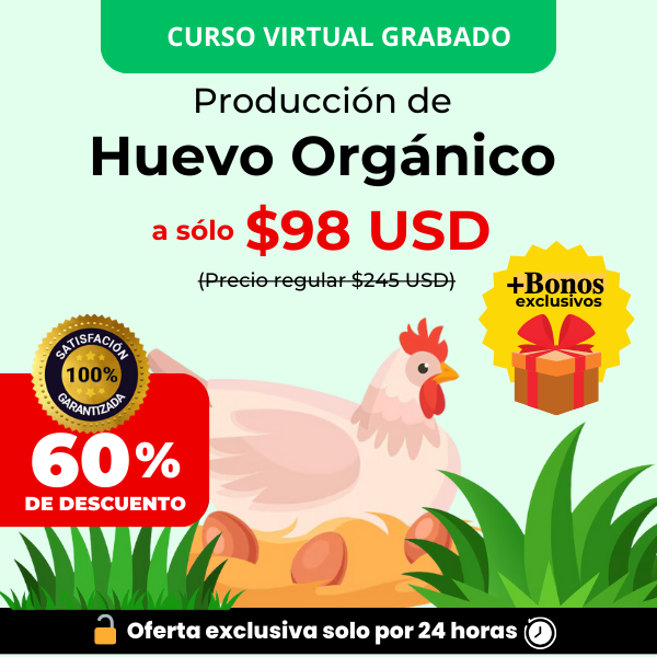 Curso Huevo Orgánico