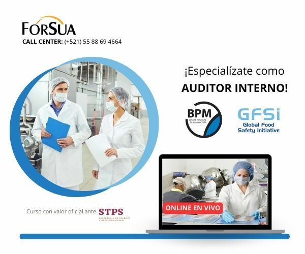 Curso Auditor BPM
