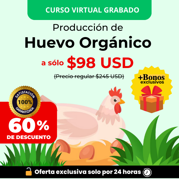huevo