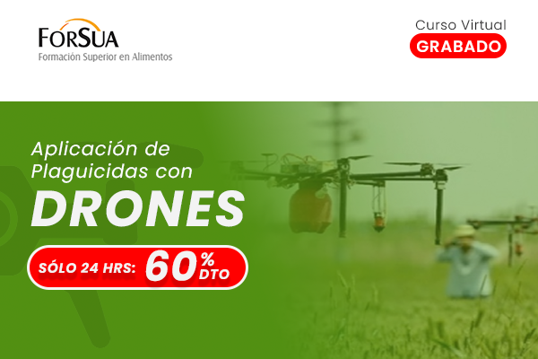 Curso-Placidas-con-Drones