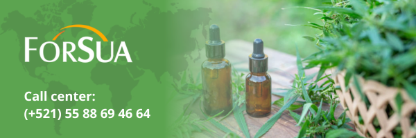 Curso K-nnabis  Legal