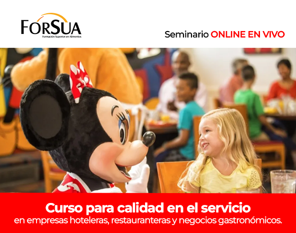 Curso Modelo Disney