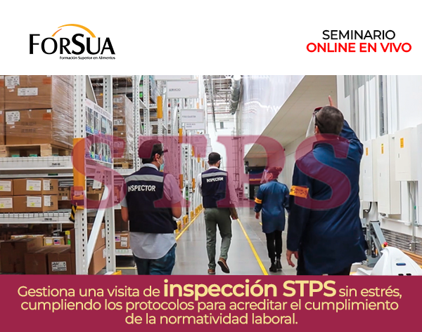 Visitas-STPS