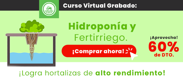 Curso Virtual Hidroponia