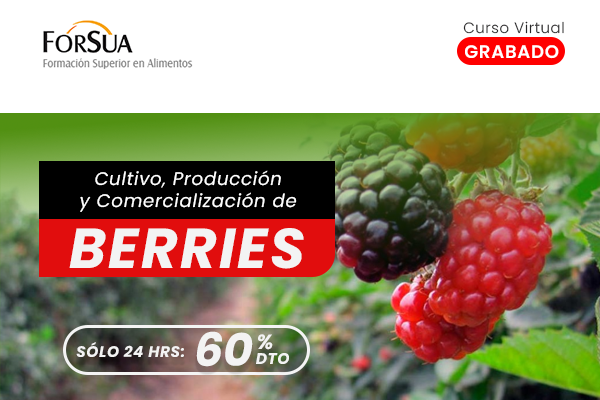 Berries-2025